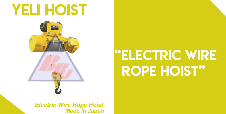 Electric Wire Rope Hoist Merk Yeli
